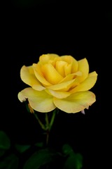 3F8CDB29-D435-48D2-9BB4-B3767A833C85/L0/001