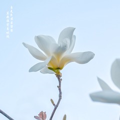 25F4A9E1-FB15-4D8C-9981-6699FCDB449E/L0/001