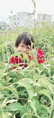 838B8454-68AB-41BD-AFEB-F867AF7D8AB4/L0/001