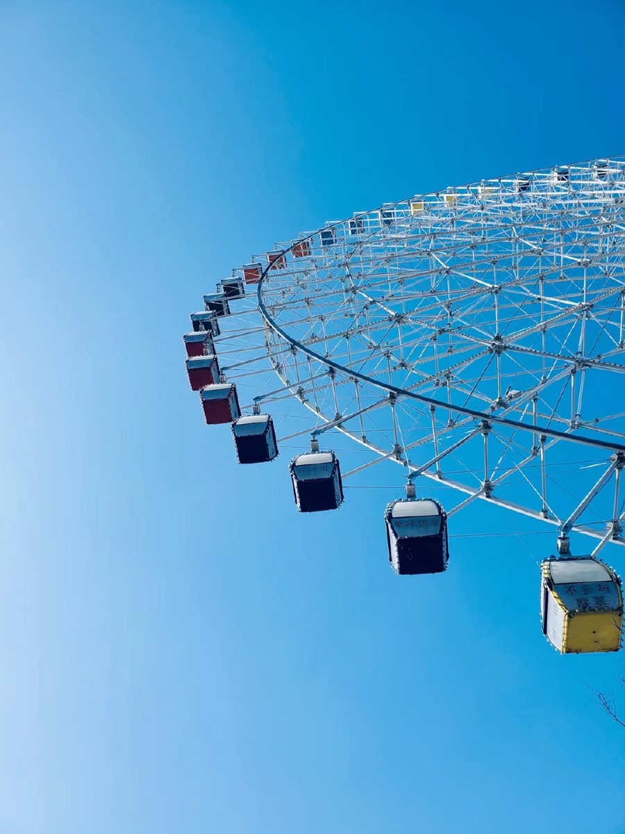 摩天轮那是一个寄托梦想的地方可以站的更高看的更远2021我的梦想是