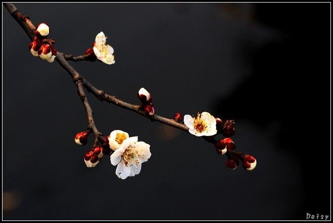 0IMG_4563<br />
