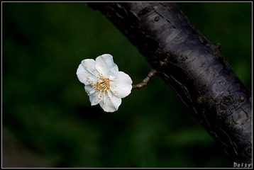 0IMG_4597