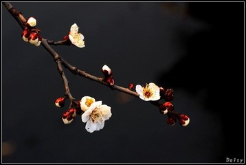 0IMG_4563
