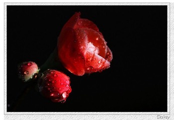 0IMG_4529