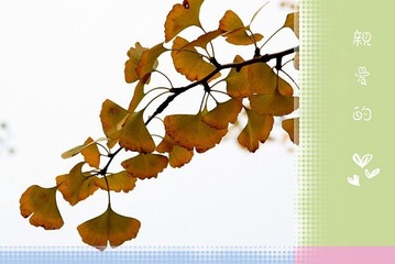 0IMG_3601