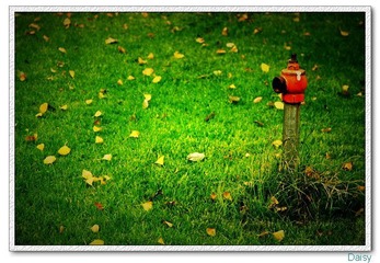 0IMG_3596