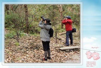 0IMG_3753
