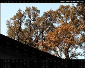 0IMG_3717