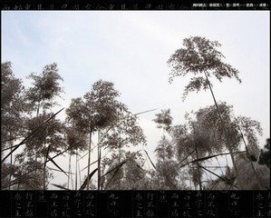 0IMG_3776