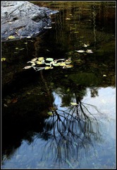 0IMG_3862