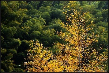 0IMG_3852