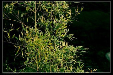 0IMG_3839