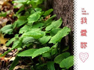 0IMG_3756
