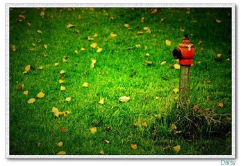 0IMG_3596