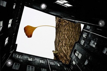 0IMG_3592
