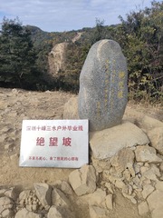 1000038577