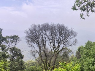 1000042816