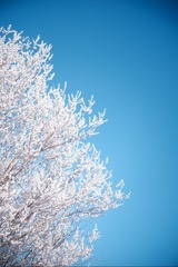 F147CB51-5D05-4290-96FA-D6B7319D727B/L0/001