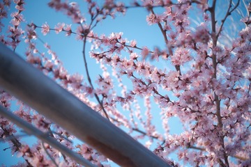 74267B08-3F15-4704-AE48-0CB026609D64/L0/001