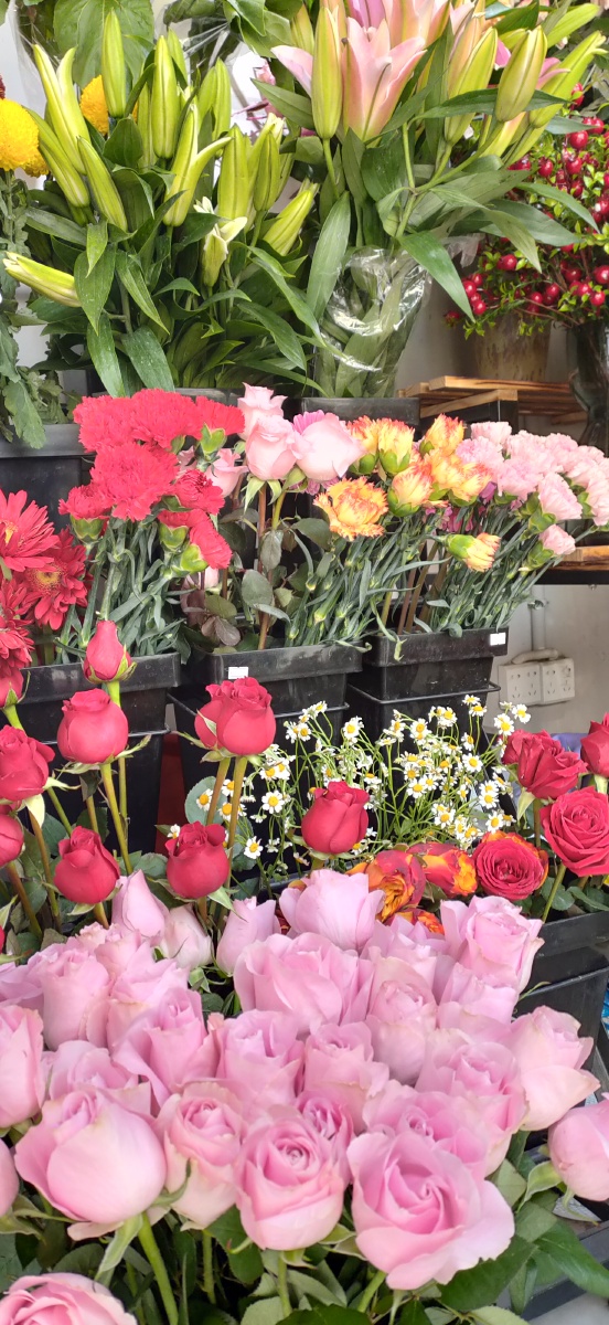路过花店随手一拍觉得养花的人特别