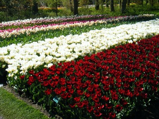 DSCF0211.jpg