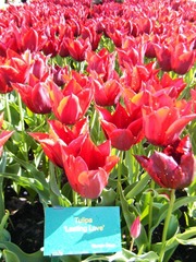 DSCF0213.jpg