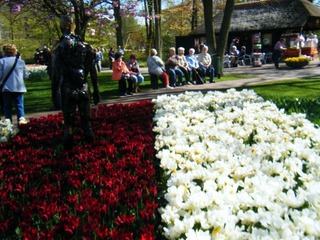DSCF0214.jpg