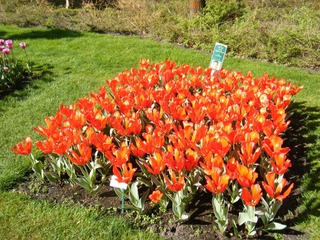 DSCF0227.jpg