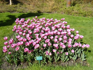 DSCF0228.jpg