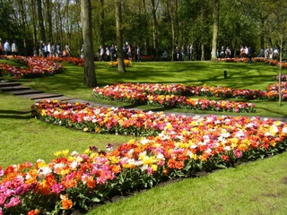 DSCF0238.jpg
