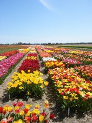 DSCF0287.jpg