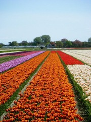 DSCF0293.jpg