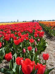 DSCF0294.jpg