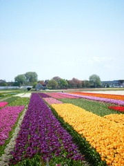 DSCF0297.jpg