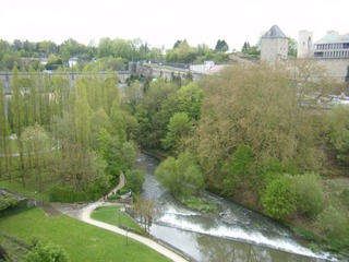 DSCF0331.jpg