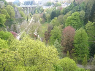 DSCF0337.jpg