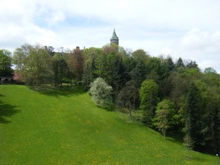 DSCF0347.jpg