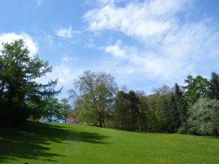 DSCF0356.jpg