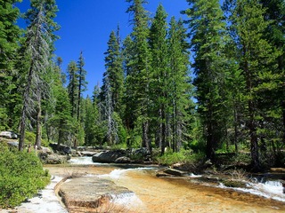 Yosemite的水