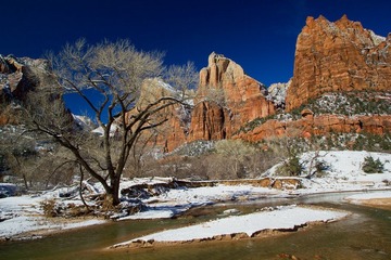 大雪后的Zion National Park