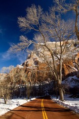 Road To Zion