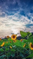 7255C5F6-7117-4DD2-8CE4-90D6ECBD0A6E/L0/001