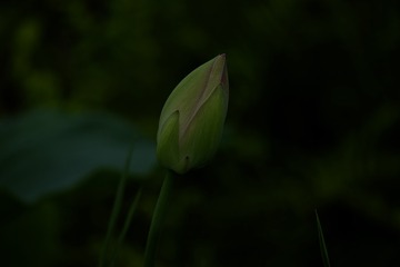 1522750