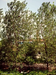 FAF7942D-0717-49BD-84B6-BA524936D937/L0/001