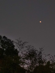 1606534