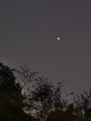 1606533