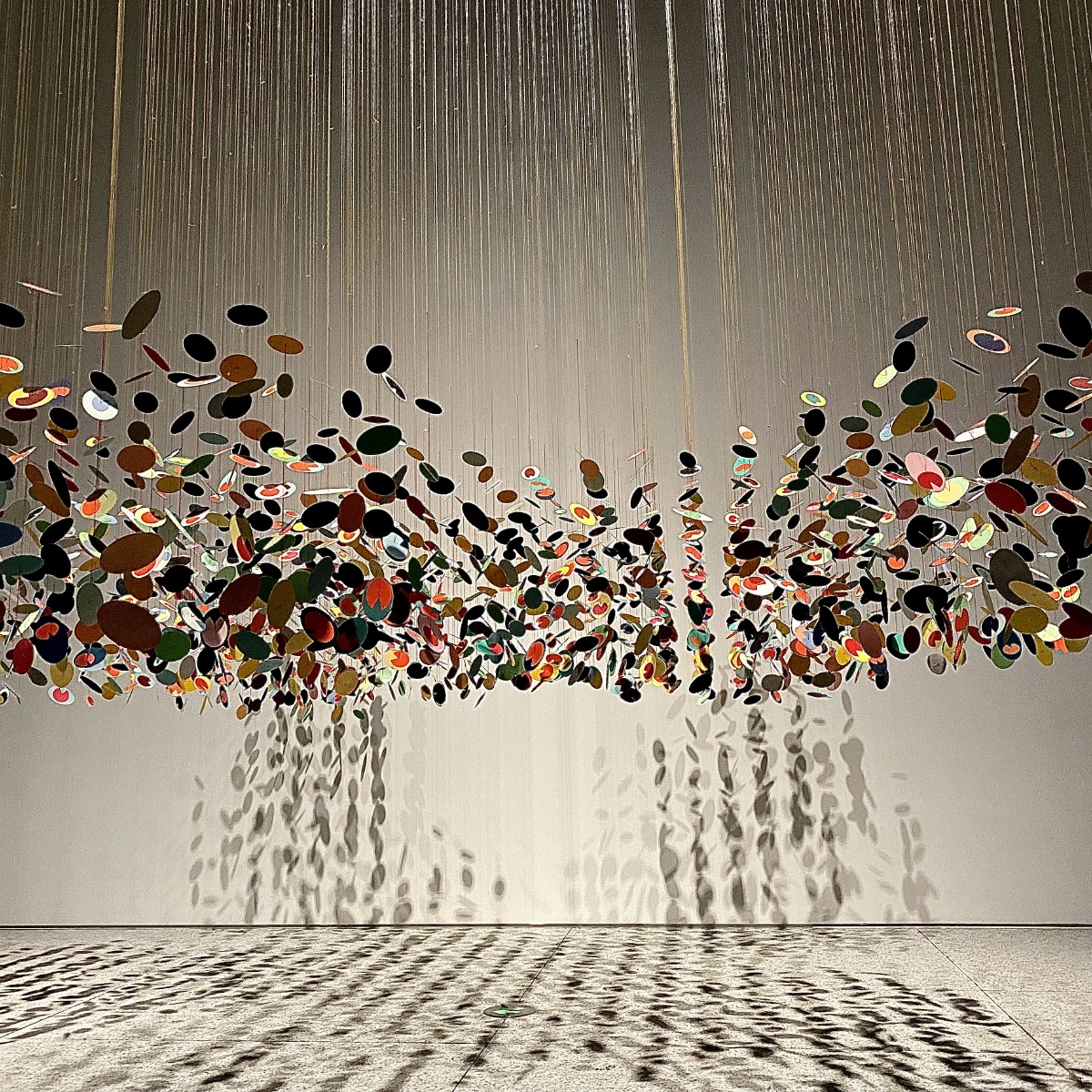 跟随艺术的脚步你也会发现不一样的亮点来自浦东美术馆的美