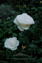 64912121-1BB3-411E-8CF5-5C5FD052B065/L0/001