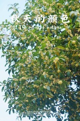 4E79AC10-485F-476F-A9D6-572B032F4DDA/L0/001