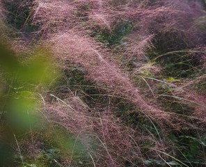 DAB25141-25C0-4EA7-A86F-4565D884E275/L0/001